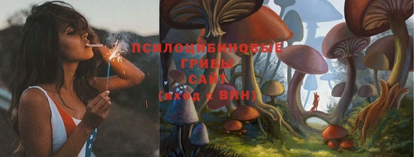 Альфа ПВП Бронницы