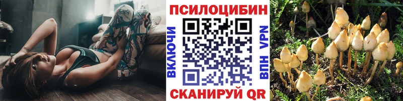 Купить где  Сысерть  Псилоцибиновые грибы прущие грибы 